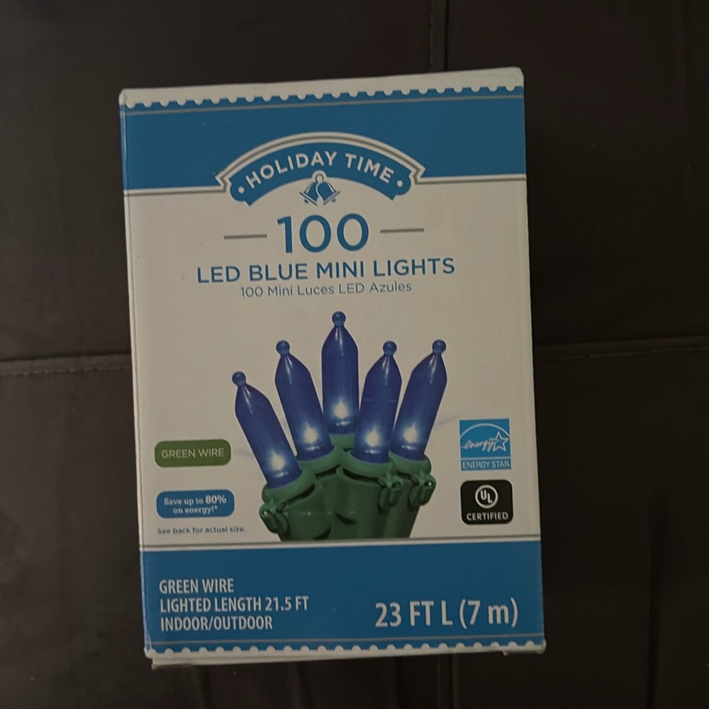 Holiday Time 100 LED Blue Mini Lights